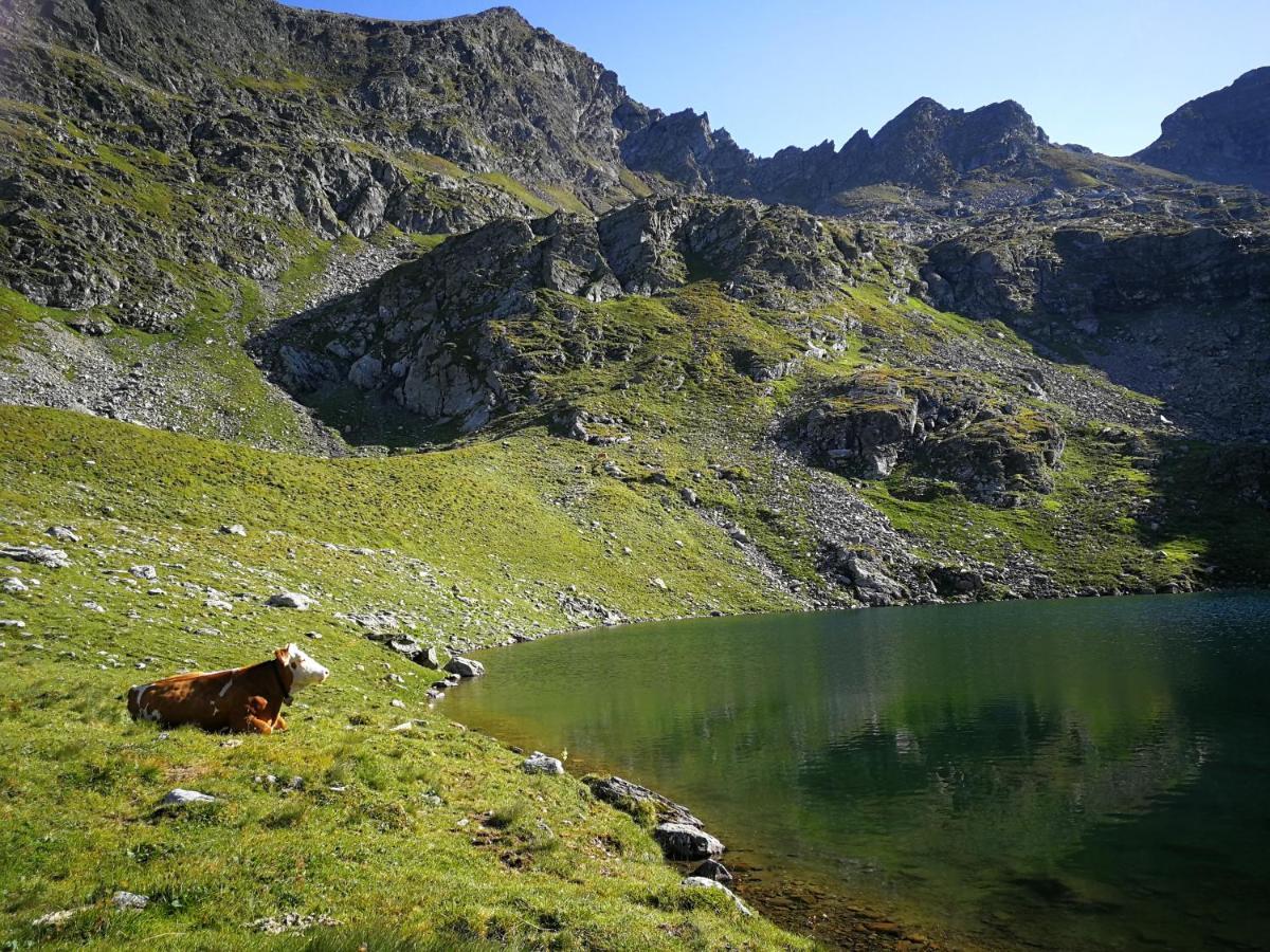 Moamoosgut Goriach (Spittal an der Drau) Exterior foto