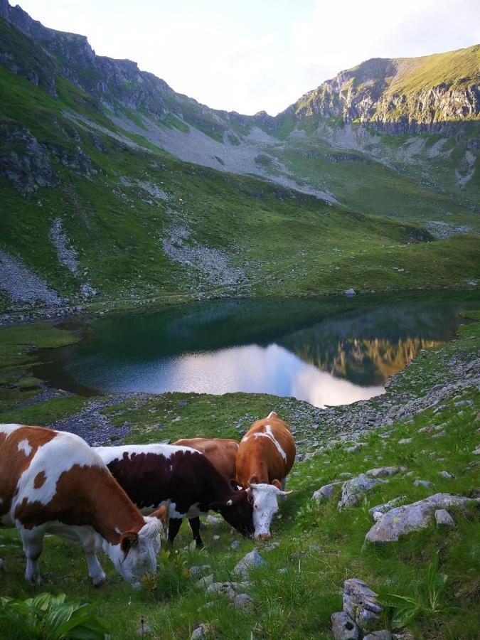 Moamoosgut Goriach (Spittal an der Drau) Exterior foto