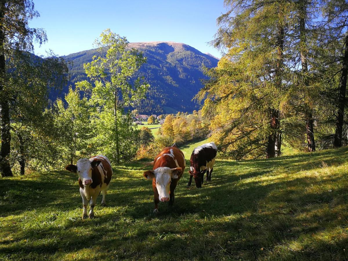 Moamoosgut Goriach (Spittal an der Drau) Exterior foto